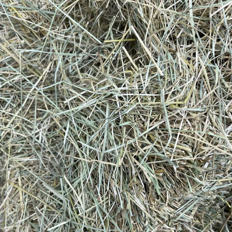 Using Straw to Stretch Feed Supplies