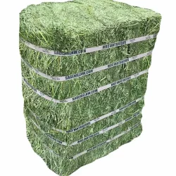 Half Soft Press - Sage Hill Nothwest Inc.
