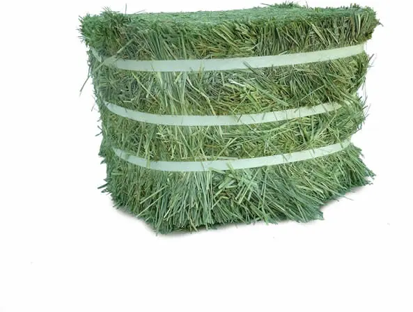 Soft Press - Sage Hill Nothwest Inc.